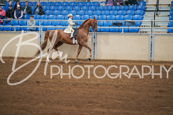 Aurora Show June 8, 2024  - 01598