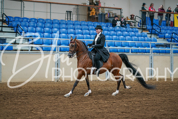 Aurora Show June 6, 2024  - 04771