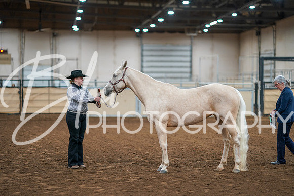 Aurora Show June 8, 2024  - 00429