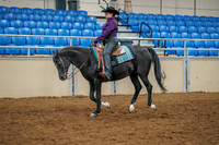 56 - All Breed Ranch Rail Pleasure - Open