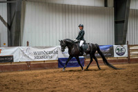 246 Region 17 Arabian Sport Horse Under Saddle JTR Championship
