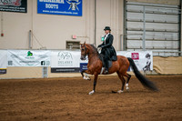 Aurora Show June 6, 2024  - 04747