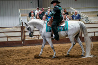 303 Region 17 Arabian Western Pleasure AAOTR Championship