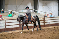 397 Region 17 Arabian Western Pleasure Championship