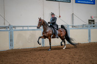 19 - American Saddlebred 5-Gaited, Open