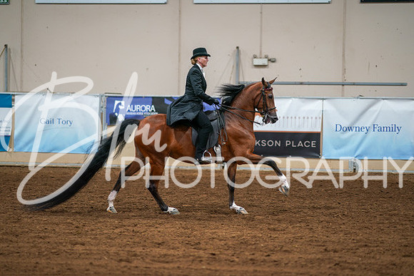 Aurora Show June 6, 2024  - 04792