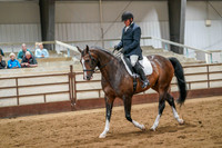 244 Region 17 HA/AA Sport Horse Show Hack Championship
