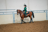 17 - Morgan Western Pleasure, Open