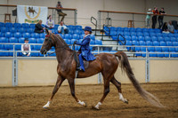 8 ALL BREEDS WALK-TROT SADDLSEAT PLEASURE, 11 & UNDER
