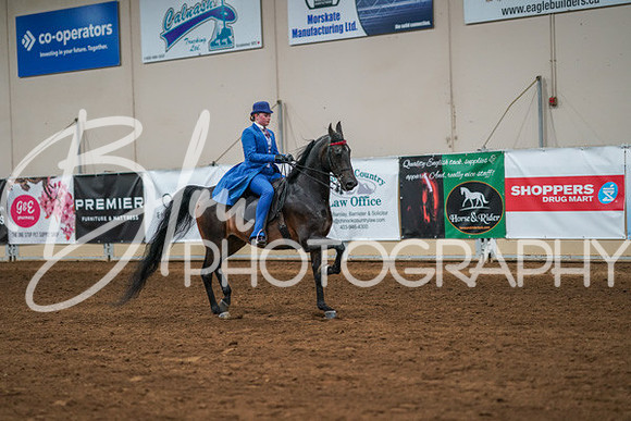 Aurora Show June 8, 2024  - 02607