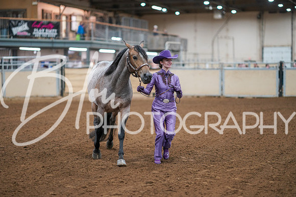 Aurora Show June 8, 2024  - 00168