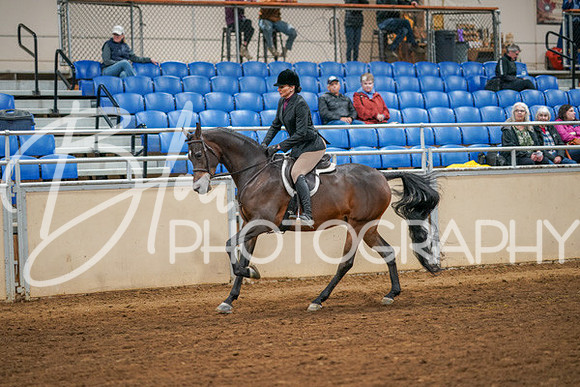 Aurora Show June 8, 2024  - 03362