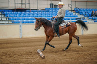 237 ALL BREED Ranch Trail 237a Arabian Ranch Trail Junior Horse