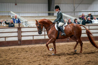 281 Region 17 HA/AA Hunter Pleasure Championship