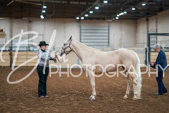 Aurora Show June 8, 2024  - 00430