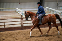 260 Region 17 HA/AA Sport Horse Under Saddle AOTR Championship