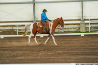 234 Region 17 A/HA/AA Western Dressage Basic Championship