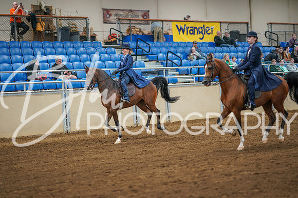 Aurora Show June 8, 2024  - 02013