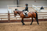 256 Region 17 HA/AA Sport Horse Under Saddle Jr Horse Championship - Hunter Type