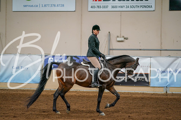 Aurora Show June 8, 2024  - 03399