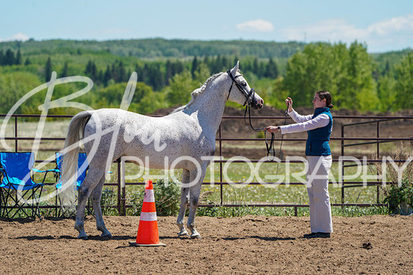 Aurora Show June 6, 2024  - 01494