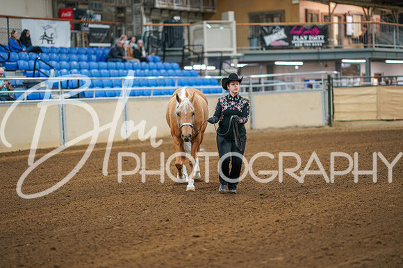 Aurora Show June 8, 2024  - 00161