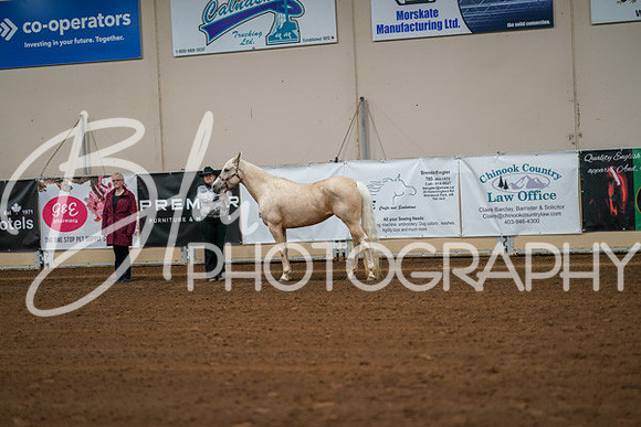 Aurora Show June 8, 2024  - 00407
