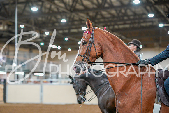 Fall Classic Sept 29, 2024 - 0784