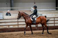 252 Region 17 Arabian Sport Horse Under Saddle Championship - Hunter Type