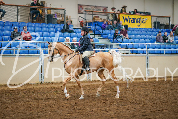 Aurora Show June 8, 2024  - 03419