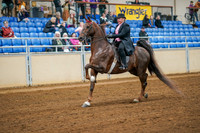 Aurora Show June 8, 2024  - 02805
