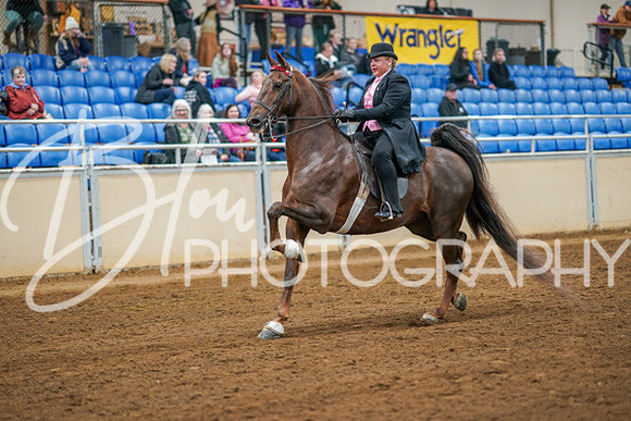 Aurora Show June 8, 2024  - 02805