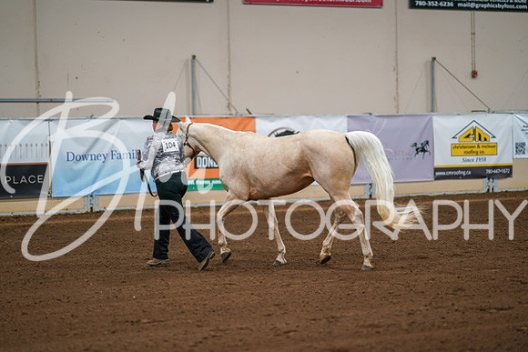 Aurora Show June 8, 2024  - 00446