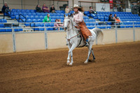 145 - ARABIAN Ranch Riding ATR