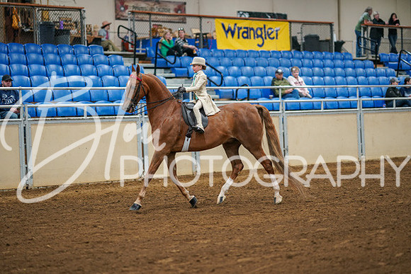 Aurora Show June 8, 2024  - 01518