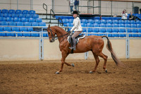159 - AMERICAN SADDLEBRED Hunter Country Open