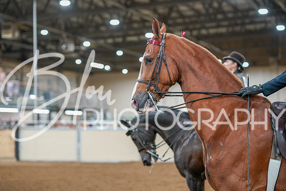 Fall Classic Sept 29, 2024 - 0785