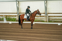 230 Region 17 A/HA/AA Dressage Training Level Championship