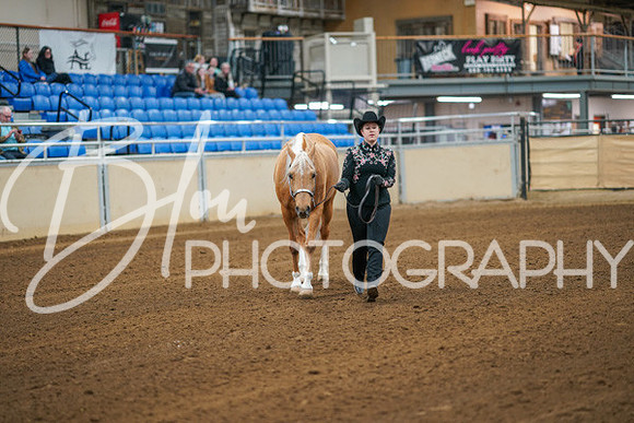 Aurora Show June 8, 2024  - 00160