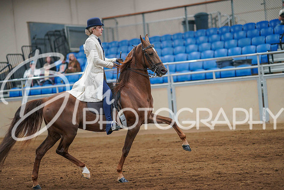 Aurora June 8, 2025 - 1114