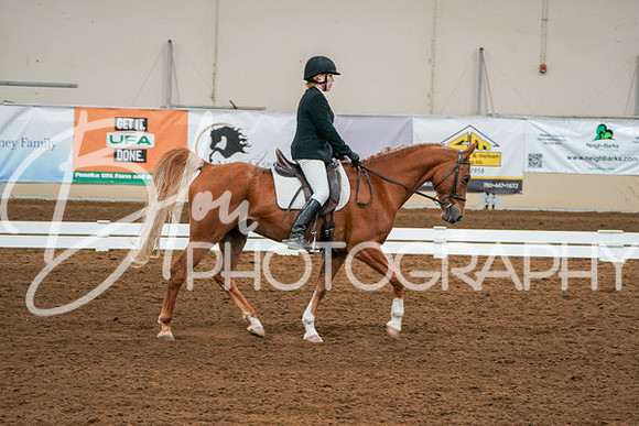 Aurora Show June 6, 2024  - 01047