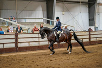 376 Region 17 Arabian Hunter Pleasure ATR Select Championship