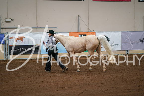 Aurora Show June 8, 2024  - 00448