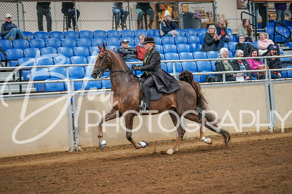 Aurora Show June 8, 2024  - 02852