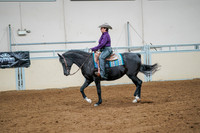 15 - All Breed Ranch Rail Pleasure - Amateur