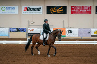 Aurora Show June 6, 2024  - 00926
