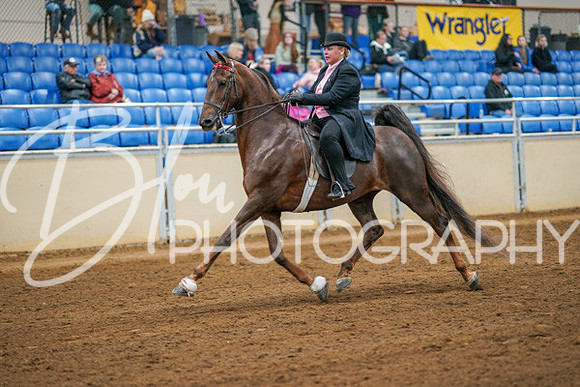 Aurora Show June 8, 2024  - 02806